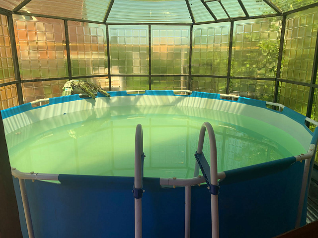 Окно ПЭТ для веранды, беседки для хоз. построек