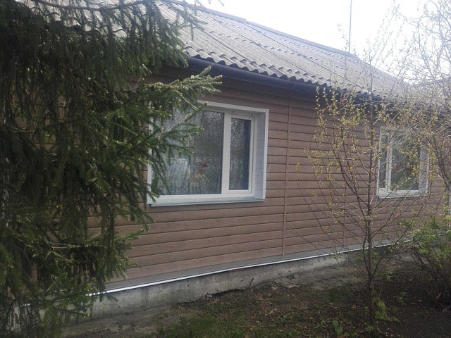 Дуб 